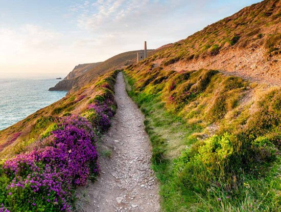 Isle of Wight Tour image 4