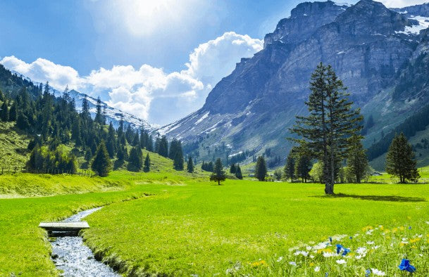 Switzerland Tour image 4